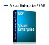 Visual ERP
